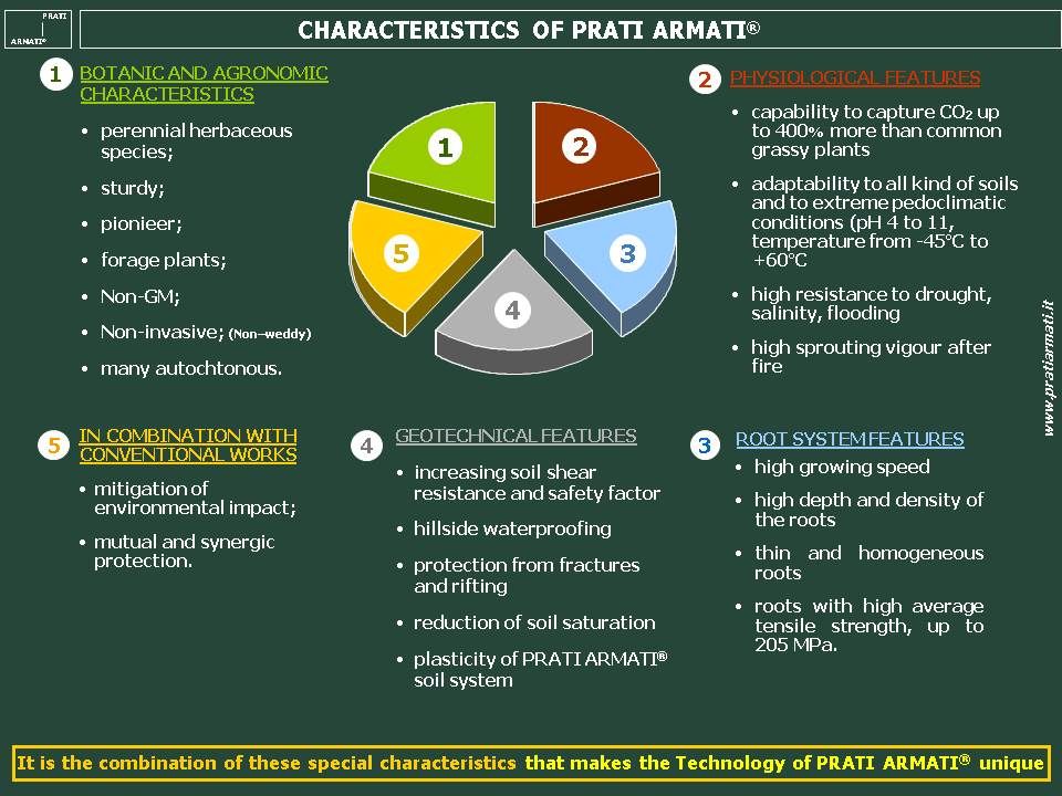 Caratteristiche eng1