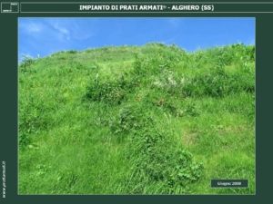 TERRE-ARMATE-TERRE-RINFORZATE: INERBIMENTO, RINVERDIMENTO, RINATURALIZZAZIONE in ambiente fortemente salino.