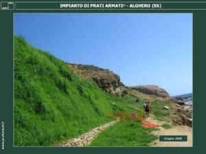 TERRE-ARMATE-TERRE-RINFORZATE: INERBIMENTO, RINVERDIMENTO, RINATURALIZZAZIONE in ambiente fortemente salino.