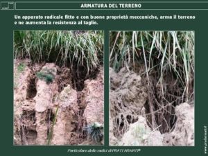 Armatura del terreno