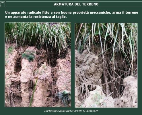 Armatura del terreno