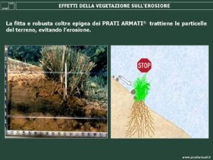 Diapositiva1