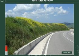 RESISTENZA AL FUOCO: Con i PRATI ARMATI® l’investimento non va in fumo Le piante erbacee a radicazione profonda sono in grado di ricacciare dopo il passaggio del fuoco. Dopo un incendio non è quindi necessario intervenire con una nuova semina, con notevole risparmio economico. Alcune delle specie utilizzate, inoltre, sono verdi in estate, contrastando così lo sviluppo e la propagazione degli incendi.