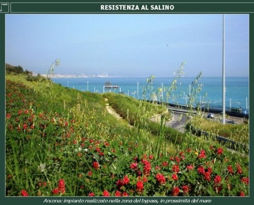 RESISTENZA AL SALINO