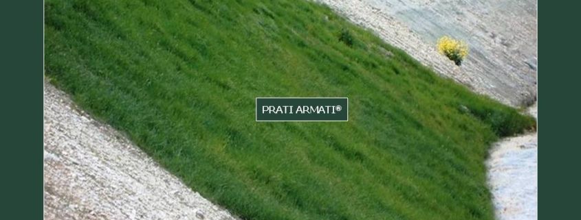 I PRATI ARMATI NON SONO INFESTANTI ! NON SONO OGM e SONO AUTOCTONI. La NON infestività dei PRATI ARMATI® è dimostrata su tutti gli interventi realizzati.