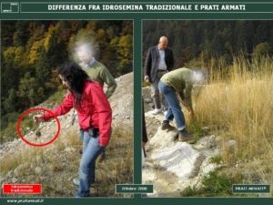 Diapositiva20