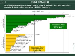 Diapositiva2