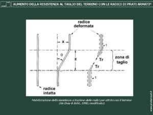 Armatura del terreno