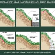 SCARPATE-IN-BAGNATO DIFESA SPONDALE. APPLICAZIONE DELLA TECNOLOGIA DI ARMATURA VEGETALE DEL TERRENO SU SCARPATE IN BAGNATO