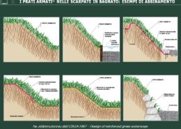 SCARPATE-IN-BAGNATO DIFESA SPONDALE. APPLICAZIONE DELLA TECNOLOGIA DI ARMATURA VEGETALE DEL TERRENO SU SCARPATE IN BAGNATO