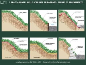 SCARPATE-IN-BAGNATO DIFESA SPONDALE. APPLICAZIONE DELLA TECNOLOGIA DI ARMATURA VEGETALE DEL TERRENO SU SCARPATE IN BAGNATO