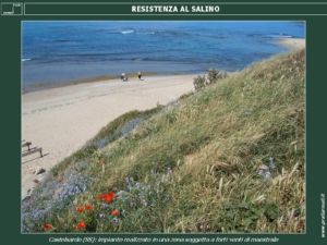 RESISTENZA AL SALINO