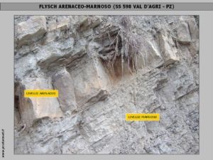 Litotipo: FLYSCH: I PRATI ARMATI® vegetano perfettamente su qualsiasi litotipo, anche il più sterile e inquinato. L’impiego di questa tecnologia antierosiva naturale consente quindi di operare anche in aree in cui le condizioni pedoclimatiche erano fino a pochi anni fa ritenute proibitive per lo sviluppo della vegetazione e, data la sua semplicità realizzativa, riduce notevolmente costi, energia, rischi, tempi di lavorazione. Litotipo: FLYSCH: I PRATI ARMATI® vegetano perfettamente su qualsiasi litotipo, anche il più sterile e inquinato. L’impiego di questa tecnologia antierosiva naturale consente quindi di operare anche in aree in cui le condizioni pedoclimatiche erano fino a pochi anni fa ritenute proibitive per lo sviluppo della vegetazione e, data la sua semplicità realizzativa, riduce notevolmente costi, energia, rischi, tempi di lavorazione.