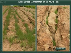 SABBIE LIMOSE. AUTOSTRADA A3 SA-RC: BLOCCO DELL’EROSIONE ED INERBIMENTO DELLE SABBIE LIMOSE