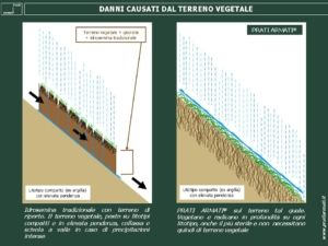 Danni causati dal terreno vegetale