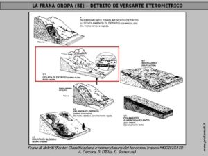 Diapositiva3