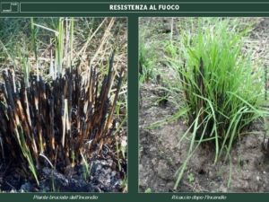 I materiali plastici antierosivi