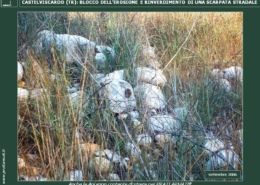 PROTEZIONE SUPERFICIALE DEI VERSANTI: CIRCONVALLAZIONE CASTELVISCARDO. Bloccato il rotolamento di sassi e ciottoli.