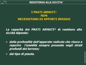 I PRATI ARMATI® resistono alla siccità