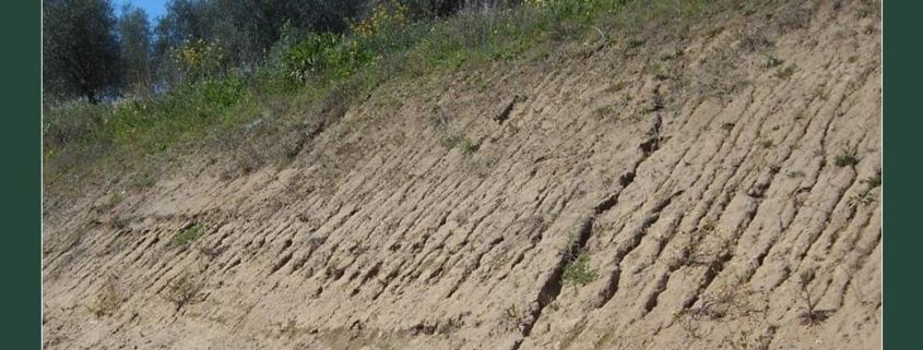 Danni causati dal terreno di riporto