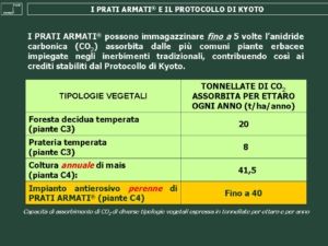 Piante C3-C4