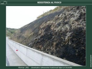 I materiali plastici antierosivi invece bruciano producendo DIOSSINA, propagano gli incendi e rendono il terreno una colata di plastica fusa, sterile e inquinante. I PRATI ARMATI invece ricacciano dopo gli incendi. Con i PRATI ARMATI l'investimento non va in fumo.