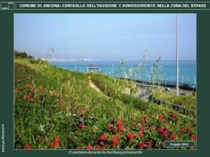 IDROSEMINA DI PIANTE A RADICAZIONE PROFONDA SULLA GRANDE FRANA DI ANCONA