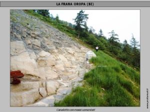 Diapositiva5