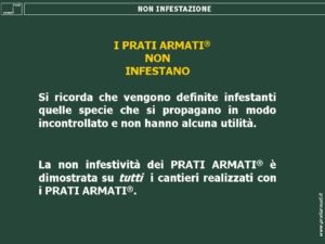 I PRATI ARMATI NON SONO INFESTANTI