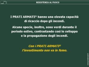 EROSIONE SCARPATE STRADALI: I materiali plastici bruciano e propagano gli incendi e rendono il terreno una colata di plastica fusa, sterile e inqunante. I PRATI ARMATI invece ricacciano dopo gli incendi. Con i PRATI ARMATI l'investimento non va in fumo.