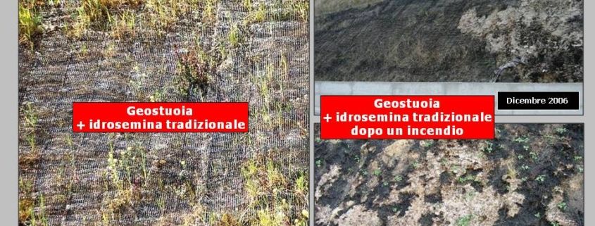 EROSIONE SCARPATE STRADALI: I materiali plastici bruciano e propagano gli incendi e rendono il terreno una colata di plastica fusa, sterile e inqunante. I PRATI ARMATI invece ricacciano dopo gli incendi. Con i PRATI ARMATI l'investimento non va in fumo.