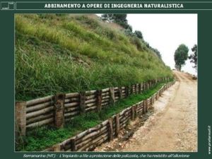 Diapositiva7
