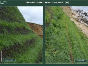 TERRE-ARMATE-TERRE-RINFORZATE: INERBIMENTO, RINVERDIMENTO, RINATURALIZZAZIONE in ambiente fortemente salino.