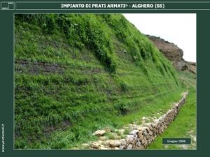 TERRE-ARMATE-TERRE-RINFORZATE: INERBIMENTO, RINVERDIMENTO, RINATURALIZZAZIONE in ambiente fortemente salino.