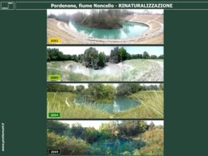 Rinaturalizzazione