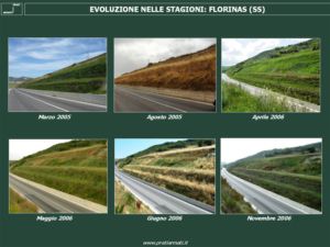 Evoluzione nelle stagioni - Florinas (SS)