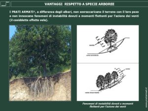 Vantaggi rispetto a specie arboree 4