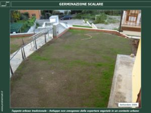 Germinazione scalare 1