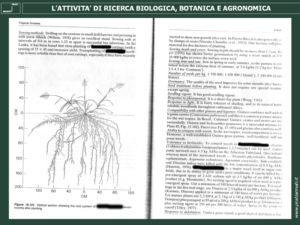 L'attività di ricerca biologica