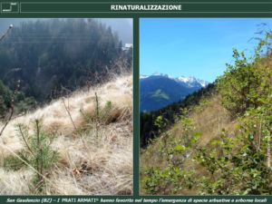 Rinaturazione