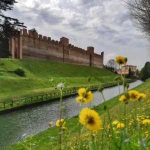 Cittadella 2024