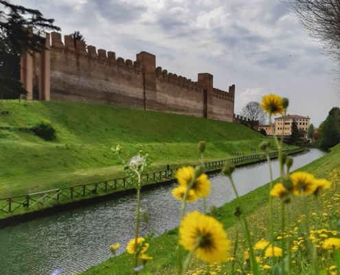 Cittadella 2024