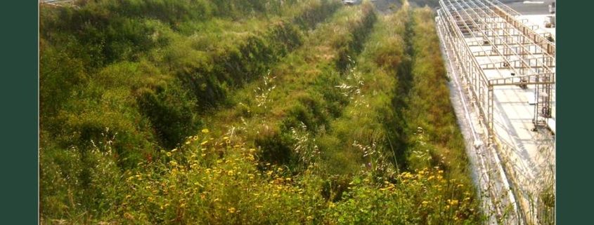 recupero-ripristino ambientale cave-miniere-discariche