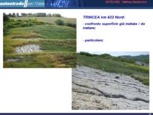 Diapositiva15
