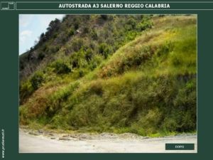 Diapositiva17