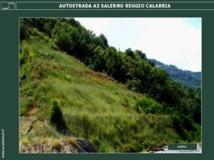 Diapositiva21