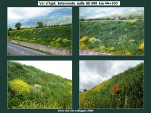 Val d'Agri - intervento sulla SS598 km 44+500 - maggio 2006