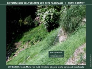 Diapositiva16