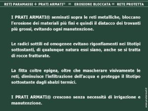 Diapositiva3