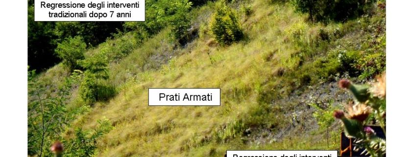 EROSIONE-INERBIMENTO-RINVERDIMENTO-RINATURALIZZAZIONE: (BZ) CANTIERE DIMOSTRATIVO CON DIVERSE TECNICHE ANTIEROSIVE A CONFRONTO: Dopo 8 anni i PRATI ARMATI continuano a migliorare mentre tutte le altre tecniche tradizionali sono regredite o addirittura scomparse